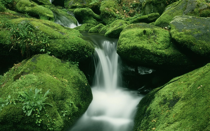 Камни, мох, ручей, водопад обои,s изображение