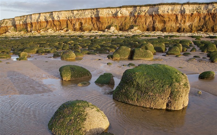 Камни, мох, вода, берег обои,s изображение