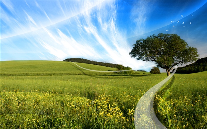 Лето, трава, дерево, полевые цветы, кривая блеска, креативный дизайн обои,s изображение