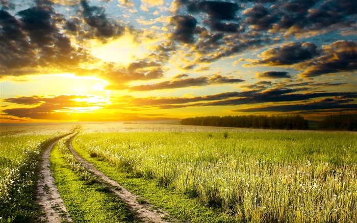 Закат, луг, трава, поле, солнце, облака обои,s изображение