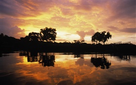 Закат над лес, озеро, Гайана