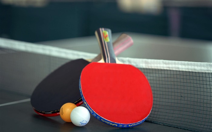 Настольный теннис и ракетка обои,s изображение