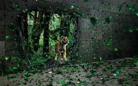 Тигр в лесу, зеленые листья летят, творческие фотографии