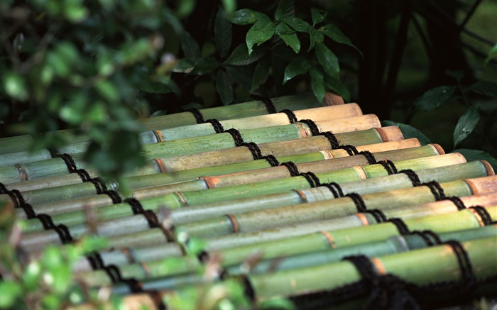 Токио, Япония, бамбуковом плоту обои,s изображение
