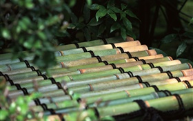 Токио, Япония, бамбуковом плоту