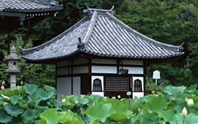 Токио, Япония, сад, храм, пруд с лотосами