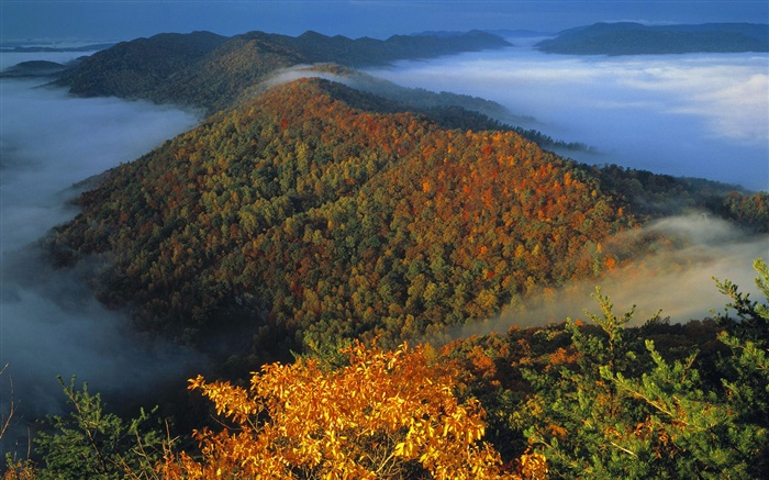 Вид сверху пейзаж, горы, туман, рассвет обои,s изображение