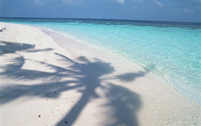 Дерево тень, Мальдивы, пляж, море, волны обои,s изображение