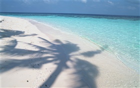 Дерево тень, Мальдивы, пляж, море, волны HD обои