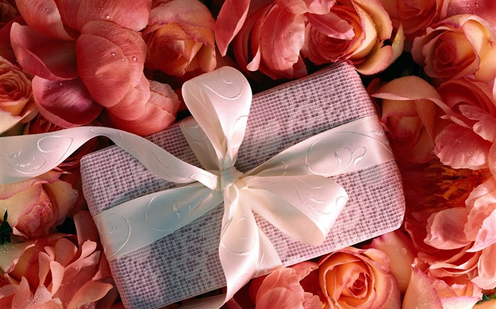 подарок День святого Валентина, розовые цветы обои,s изображение