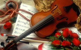 Скрипка, красные розы, музыка HD обои