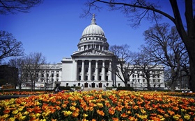 Вашингтон, Мэдисон, США, здание, парк, цветы