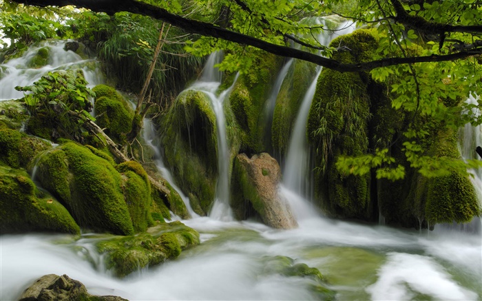 Водопады, ручей, камни, ветки, листья обои,s изображение