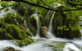 Водопады, ручей, камни, ветки, листья HD обои