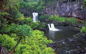 Водопады, ручей, вода, камни, растения, Гавайи, США HD обои