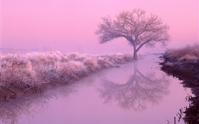 Зимнее утро, мороз, деревья, река, красное небо HD обои