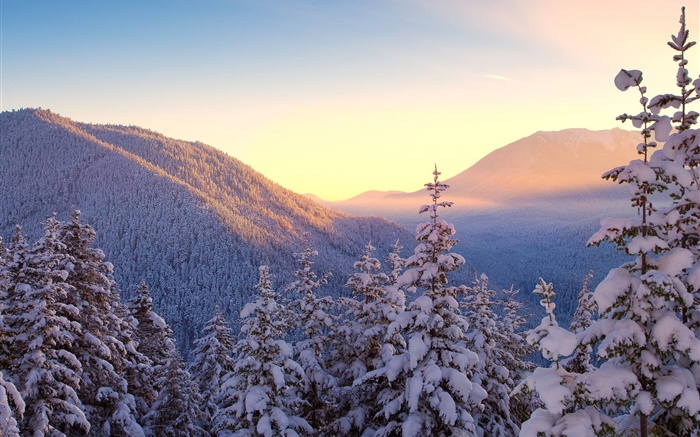 Зима, горы, снег, деревья, закат обои,s изображение