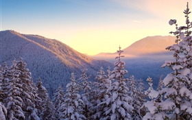 Зима, горы, снег, деревья, закат HD обои