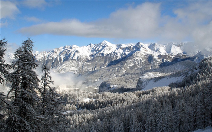 Зима, горы, деревья, снег, природа пейзаж обои,s изображение