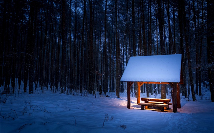 Зима, деревья, павильон, снег, ночь, свет обои,s изображение