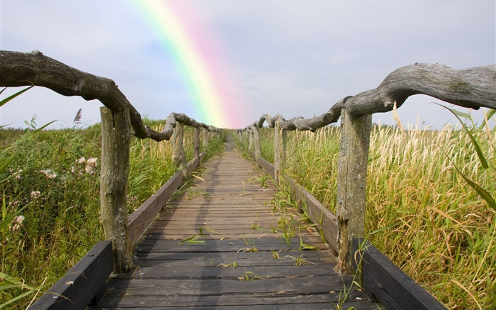 Древесина тропинка, забор, трава, радуга, лето обои,s изображение