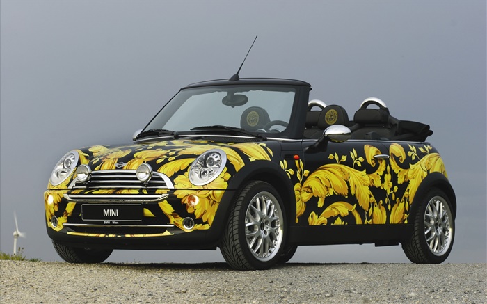 Желтые цветы мини-автомобиль обои,s изображение