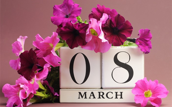 8 марта, Международный женский день, розовые цветы петунии, дата обои,s изображение