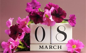 8 марта, Международный женский день, розовые цветы петунии, дата