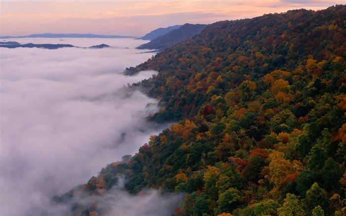 Красивый природный ландшафт, горы, деревья, осень, туман, рассвет обои,s изображение