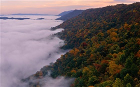 Красивый природный ландшафт, горы, деревья, осень, туман, рассвет HD обои