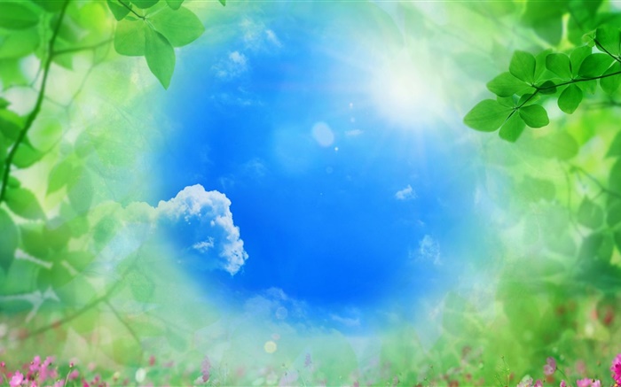 Голубое небо, зеленые листья, солнце, лето обои,s изображение