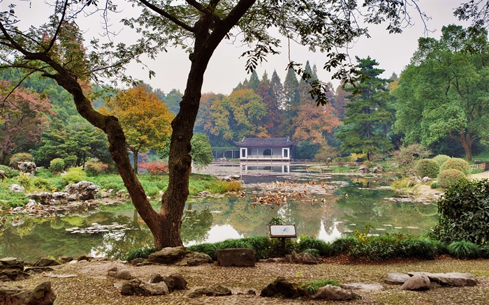 Китай, Ханчжоу Ботанический сад, пруд, трава, кусты, деревья обои,s изображение