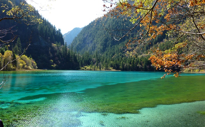 Китай, Национальный парк Цзючжайгоу, озеро, горы, деревья обои,s изображение