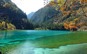 Китай, Национальный парк Цзючжайгоу, озеро, горы, деревья HD обои