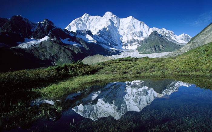 Чомо Лонзо, горы, трава, пруд, ледники, Тибет обои,s изображение