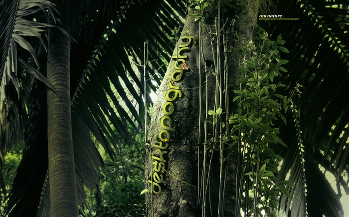 Креативный дизайн, лес, деревья, гусеница обои,s изображение