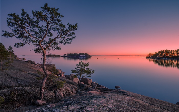 Финляндия, Финского залива, море, остров, закат, деревья, камни обои,s изображение