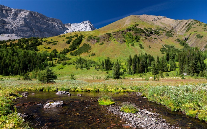 Лес, горы, луг, вода, камни обои,s изображение