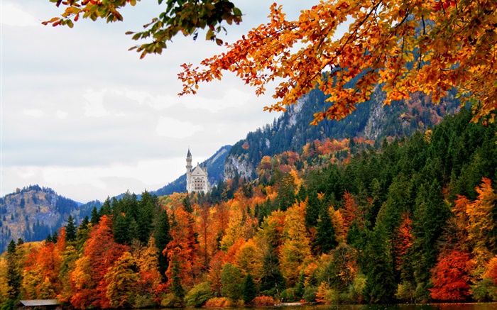 Германия, Бавария, Швангау замок, деревья, река, осень обои,s изображение