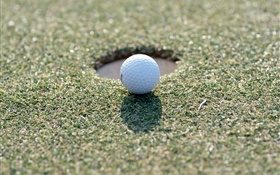 Мяч для гольфа на траве HD обои