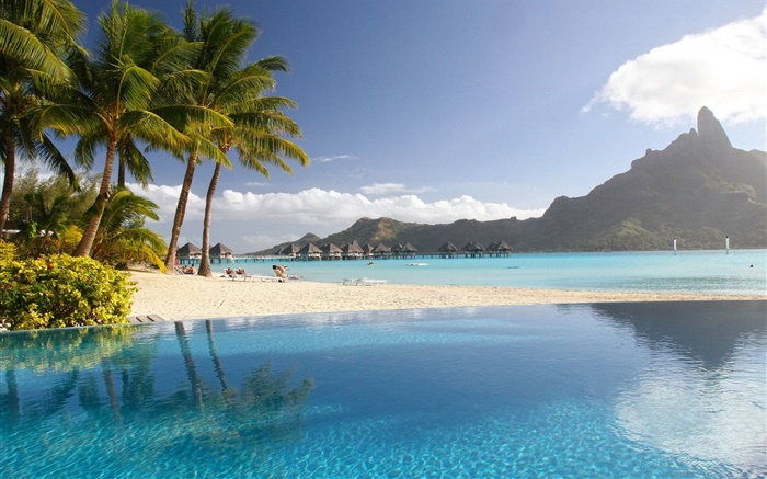 Лагуна, курорт, пальмы, пляж, бассейн, тропический обои,s изображение