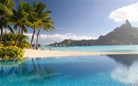 Лагуна, курорт, пальмы, пляж, бассейн, тропический HD обои