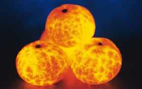 Свет фрукты, четыре апельсина HD обои