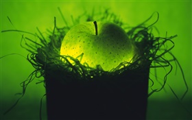 Свет фрукты, зеленое яблоко в гнезде HD обои