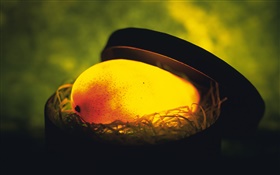 Свет фрукты, манго в гнезде HD обои