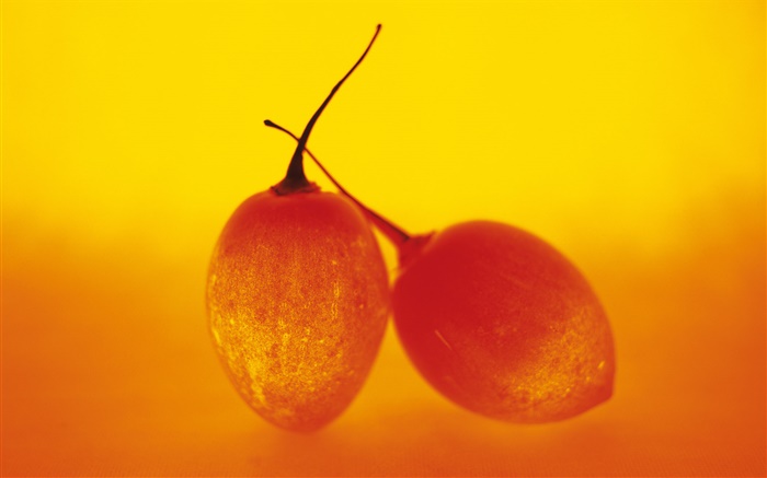 Свет фрукты, два помидора дерева обои,s изображение