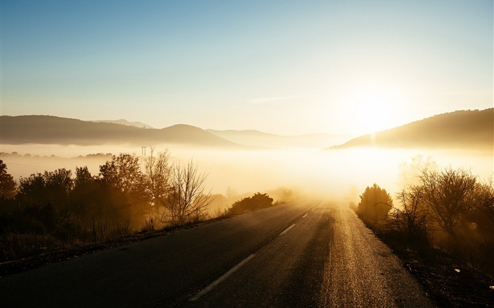 Утро, восход, туман, дорога, деревья, солнечные лучи обои,s изображение