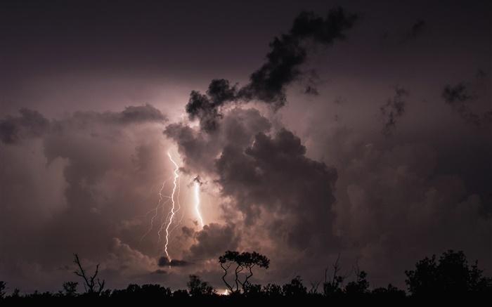 Ночь, облака, гроза, молния, деревья, силуэт обои,s изображение