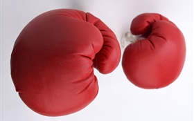 Красные перчатки боксерские