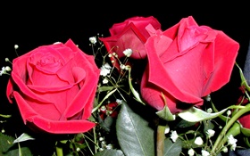 Красная роза цветы, букет HD обои